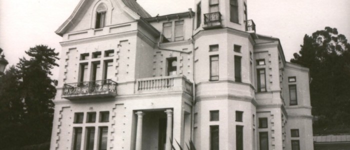 Дача Н. Н. Смецкого «Субтропическая флора»