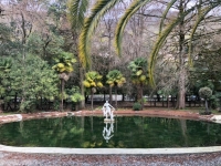 Городской Приморский парк в г. Гагра